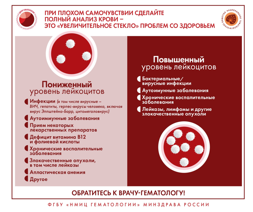 Профилактика заболеваний системы крови - Городская поликлиника №13