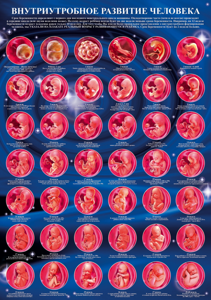 zhdwemayeztcvm8zrjgl3rbcx16r0rcr.png