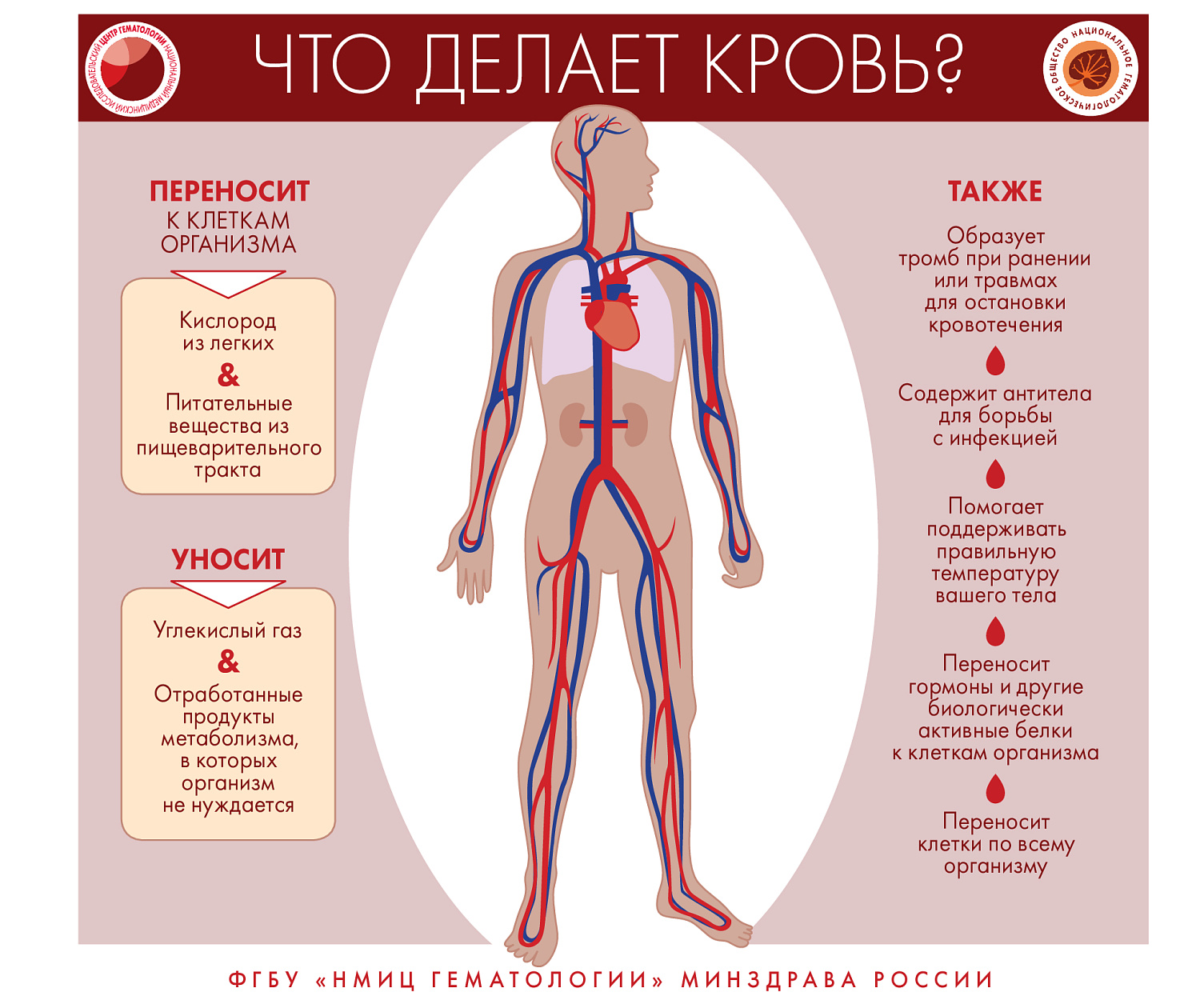 Кровь-магическая система!